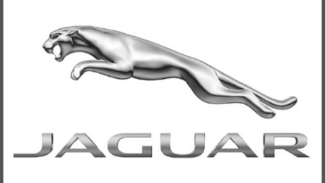 Jaguar Ankauf